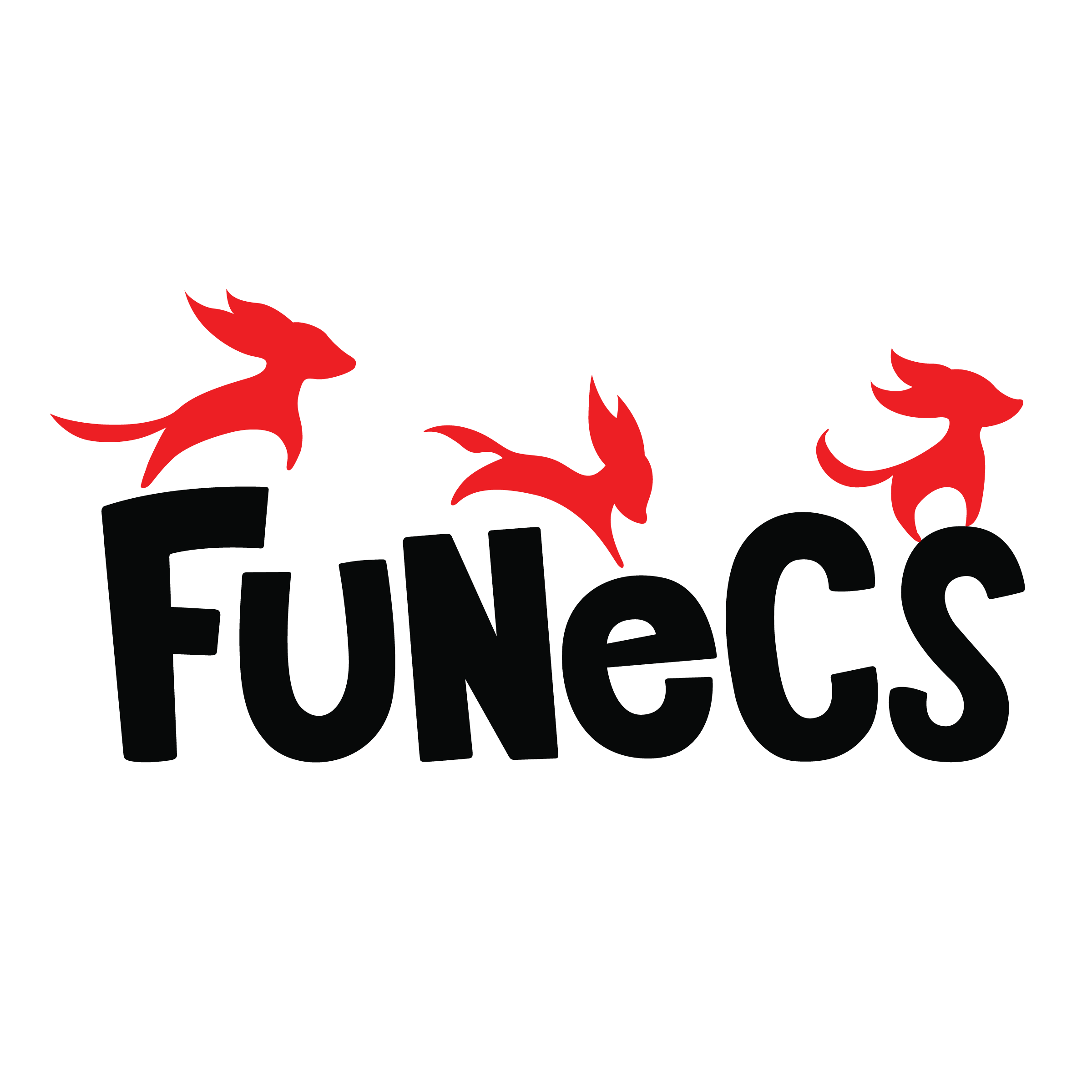 Logo Funecs